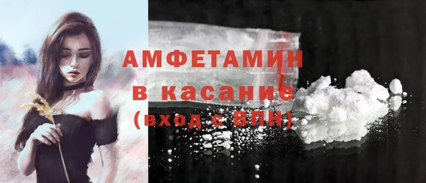 крисы Алзамай