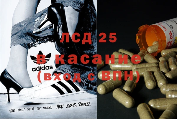 крисы Алзамай