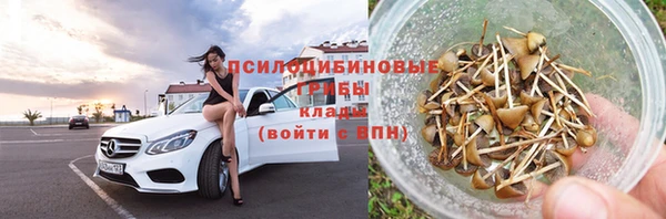 крисы Алзамай