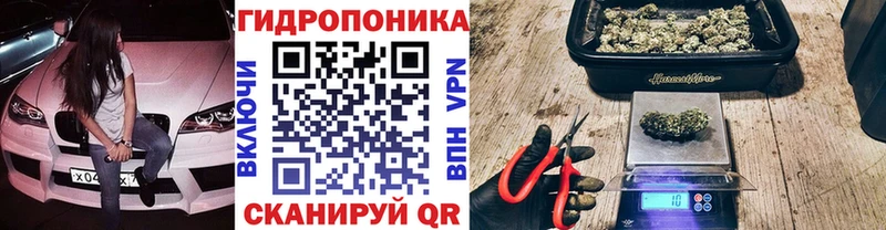 Каннабис White Widow мориарти наркотические препараты Березники как найти